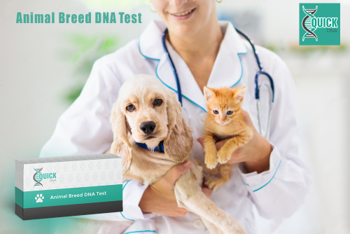 What criteria should be considered when choosing an DNA test in animal genetics?